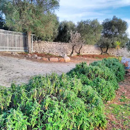 Studio In With Enclosed Garden דירה *